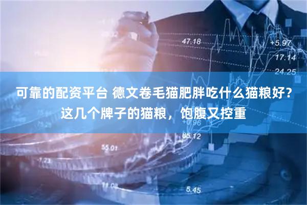 可靠的配资平台 德文卷毛猫肥胖吃什么猫粮好？这几个牌子的猫粮，饱腹又控重