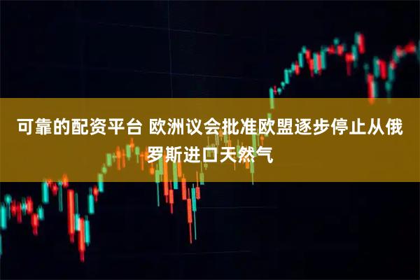 可靠的配资平台 欧洲议会批准欧盟逐步停止从俄罗斯进口天然气